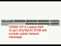 C9300X-12Y-A Καταλύτης 9300 12 θύρας 25G/10G/1G SFP28 με αρθρωτές αναβατικές συνδέσεις
